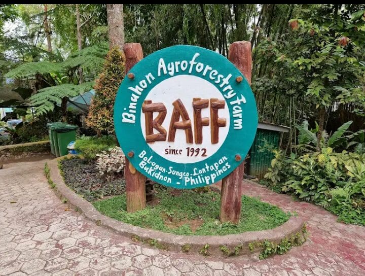 Binahon Agro-Forestry Farm